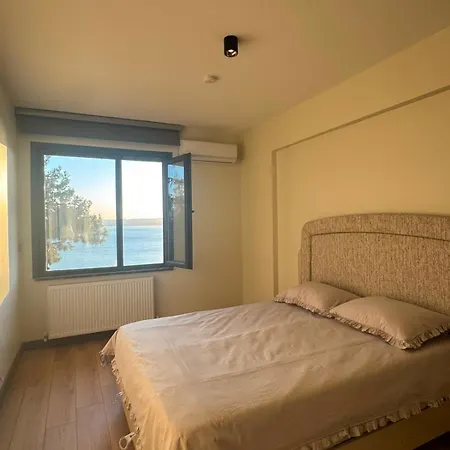 4 Floors - Air-conditioned - Brand New *